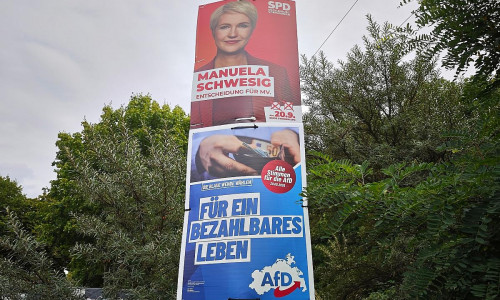 Wahlplakate für die Landtagswahl 2026 für SPD und AfD (Archiv)