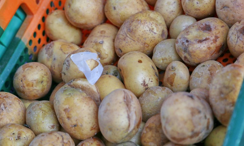 Kartoffeln (Archiv)