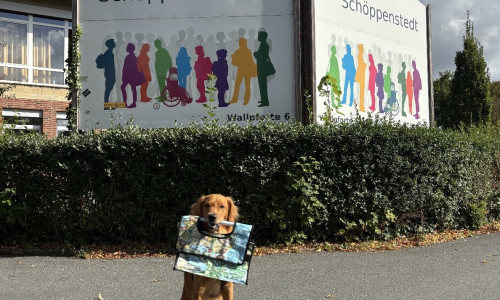 Die zweijährige Golden-Retriever-Hündin Marly ist Schulhündin der IGS.