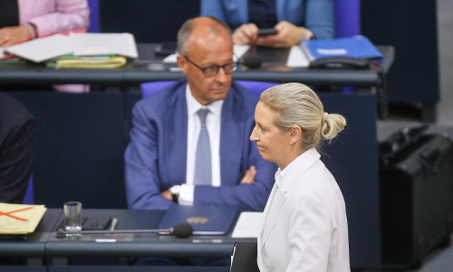 Friedirch Merz und Alice Weidel (Archiv)