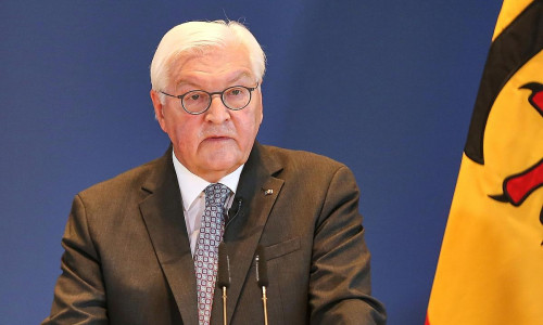 Frank-Walter Steinmeier (Archiv)