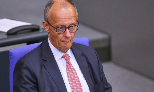 Friedrich Merz (Archiv)