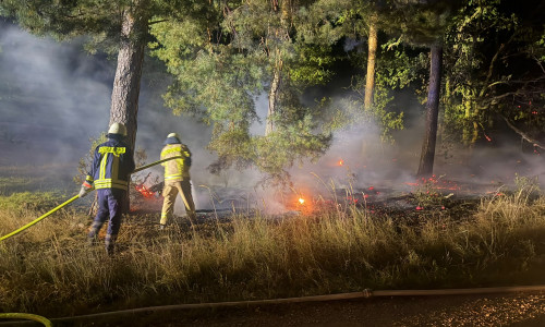 Mehrere Waldbrände forderten die Einsatzkräfte am Wochenende.