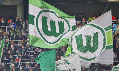 Wolfsburg-Fans (Archiv)
