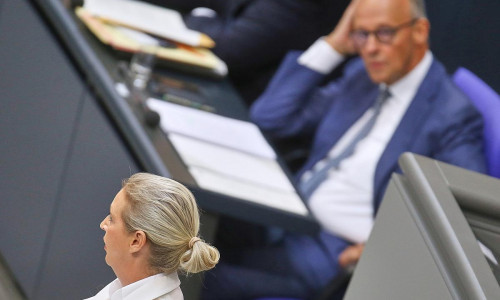 Alice Weidel und Friedrich Merz (Archiv)
