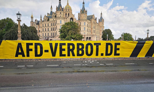 Demo für AfD-Verbot vor dem Landtag von Mecklenburg-Vorpommern (Archiv)