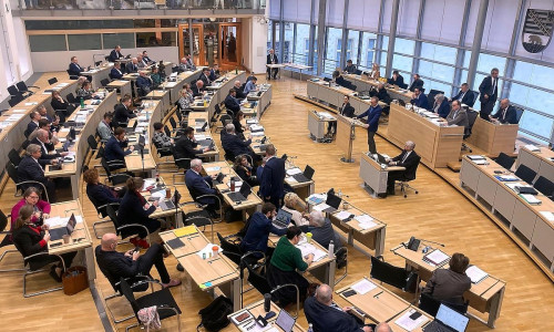 Sitzung des Landtags von Sachsen-Anhalt (Archiv)