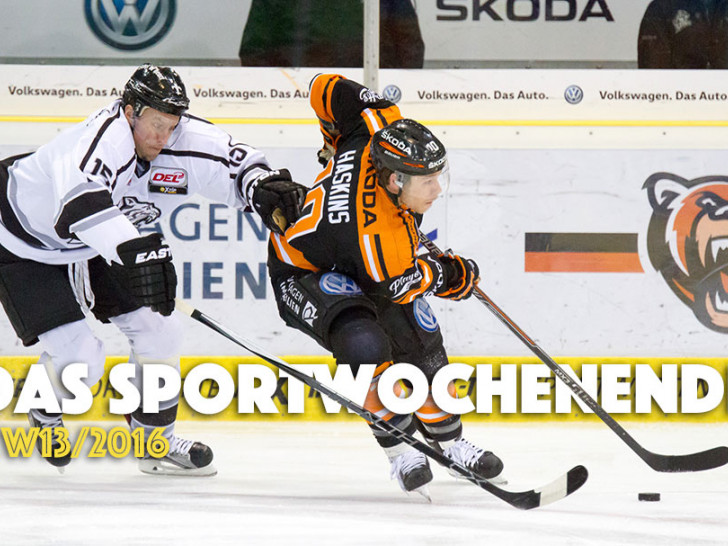 Schaffen die Grizzlys dem Einzug ins Finale? Foto: Brandes/SFBS