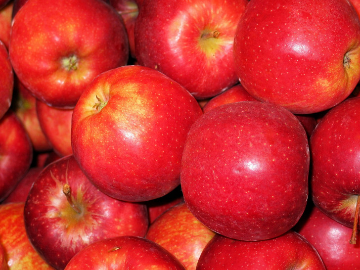 Die Apfelernte steht an beginnt offiziell am 25. August 2018. Foto: Pixabay