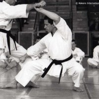 Der Shotokan Braunschweig lädt berühmte Gäste ein. Foto: Dario Marchini