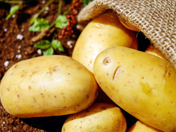 Wegen des heißen Sommers wurden in Deutschland rund 3 Millionen Tonnen Kartoffeln weniger geerntet, als im Vorjahr. Foto: Pixabay