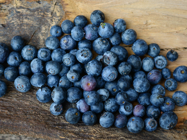 Das Braunschweiger Thünen-Institut für Betriebswirtschaft hat eine Analyse zur Entwicklung des Obstbaus vorgelegt. So werden in Niedersachsen auf mehr als 1,8 Hektar Blau- oder Heidelbeeren angebaut. Hätten Sie das gewusst? Foto: Pixabay 