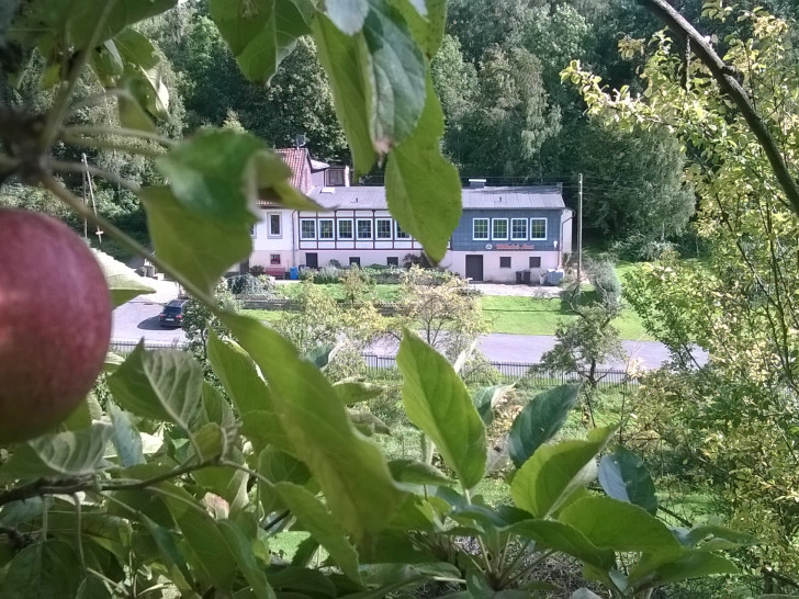 Am Sonntag, 21. Oktober findet an der Waldgaststätte "Willeckes Lust" bereits das vierte Apfelfest statt. Geboten wird ein interessantes, kulinarisches und abwechslungsreiches Programm für die ganze Familie. Fotos: Privat/ Willeckes Lust Hornburg