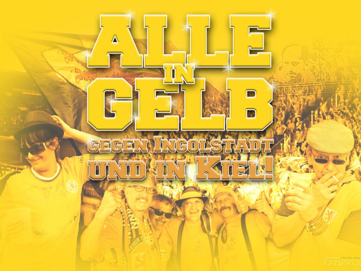 Der Aufruf wurde für die letzten Spiele erneuert. Foto/Grafik: Olaf Kraus/OK-Color/Fanprojekt Eintracht Braunschweig