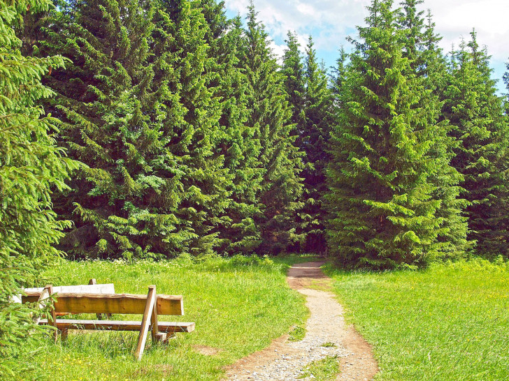 Der TSV Leinde lädt ein zum Wandern.