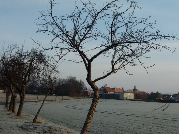 Foto: Privat
