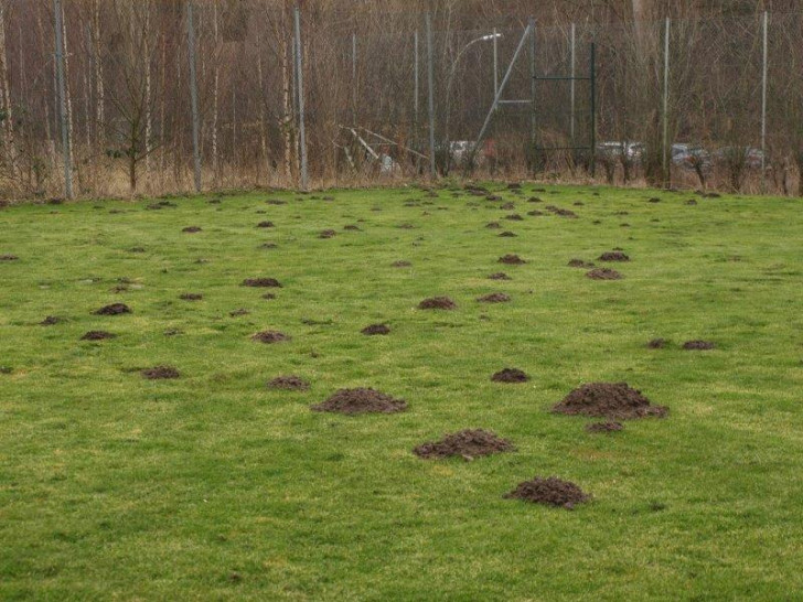 Die SpVgg Wacker dokumentierte die Platzzustände mit der Kamera. Foto: Verein