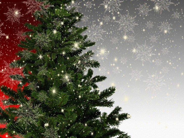 Bald werden die Tannenbäume in der Innenstadt aufgestellt und sorgen für eine weihnachtliche Stimmung. Symbolbild: Pixabay