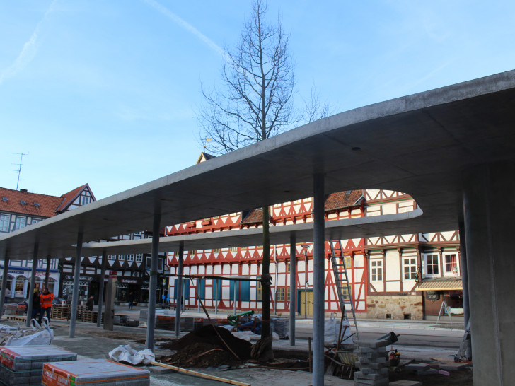 Am heutigen Donnerstag wurden auf der Mittelinsel des Kornmarktes wieder neue Bäume gepflanzt. Fotos/Video: Jan Borner