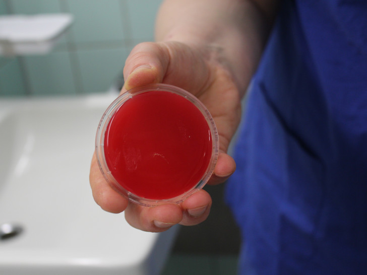 Im Marienstift Braunschweig wurde eine Hygieneuntersuchung durchgeführt. Fotos: Marienstift