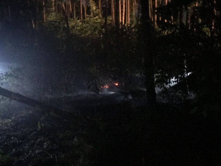 In Leiferde brannten 50 Quadratmeter Unterholz. Foto: Pressestelle der Freiwilligen Feuerwehr der Samtgemeinde Meinersen / Bußmann