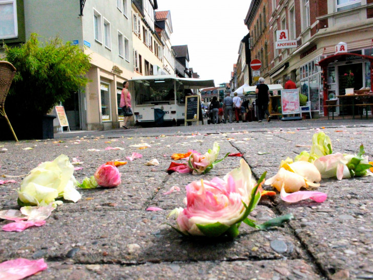 In Wolfenbüttel findet am Wochenende wieder das Rosenfest statt. Foto: Sina Rühland
