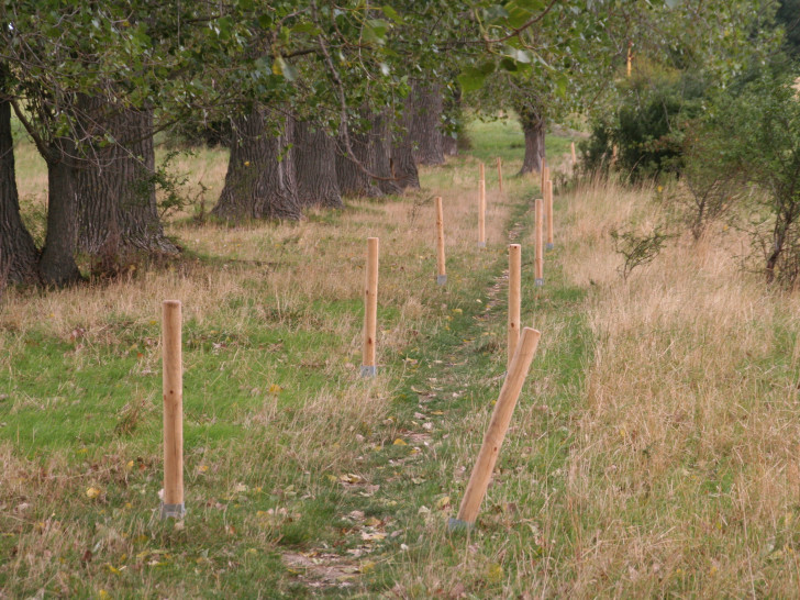 Wegemarkierung in den Herzogsbergen. Foto: Grüne Cremlingen