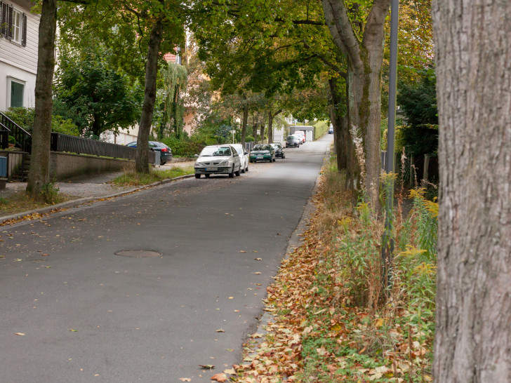 Die Werenbergstraße. Foto: Alec Pein