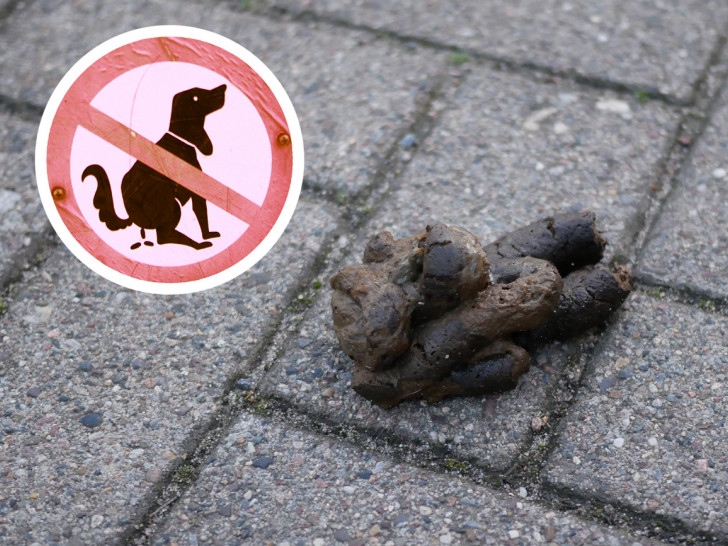 Aus Kostengründen sind keine weiteren Hundestationen im Stadtbezirk Schunteraue vorgesehen. Symbolfoto: Alexander Panknin