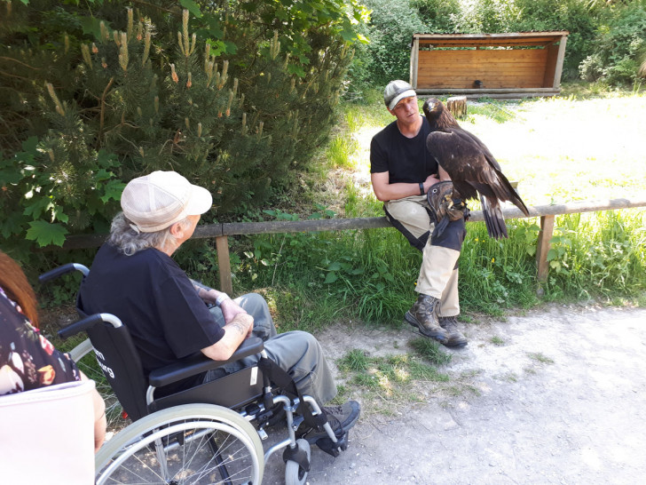 Noch einmal Adlers Schwingen sehen... Fotos: Malteser