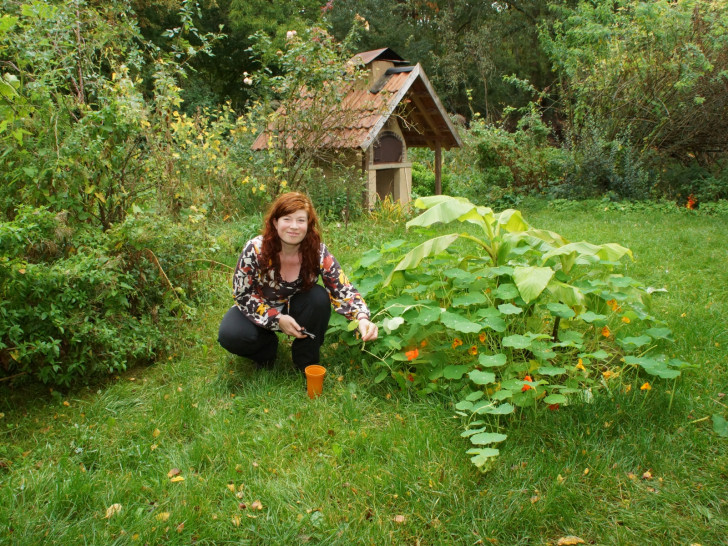  Der JugendUmweltPark (JUP) Braunschweig - ein Projekt des ökoscouts e.V. - und Ökologie-Referat des AStA der TU Braunschweig veranstaltet am Samstag den 4. Juni ab 10 Uhr einen Workshop „Lust auf Natur: mit Kindern die Umwelt erleben“. Foto: Maik Südewold