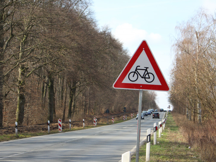 Radfahrer, Fußgänger und Autofahrer teilen sich eine Fahrbahn: Leser beklagen sich über Gefahr für Fußgänger und Radfahrer. Foto: Max Förster