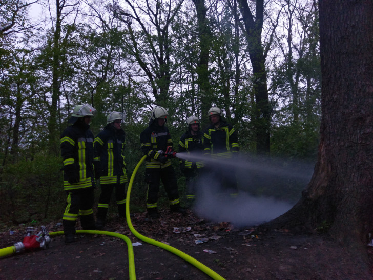 Die Feuerwehr Vorsfelde hatte am gestrigen Abend einen Baumbrand zu bekämpfen. Fotos: Feuerwehr Vorsfelde
