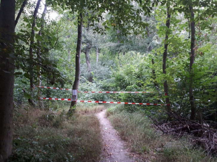 Ein Teil der Wanderwege in der Asse bleiben bis auf Weiteres zur Sicherheit der Waldbesucher gesperrt. Foto: Landesforsten