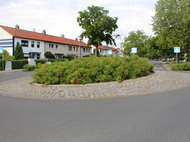 Der Kreisel mit dem hochgewachsenen Rosenbusch in der Ernst-Moritz-Arndt-Straße. Foto: Jan Borner