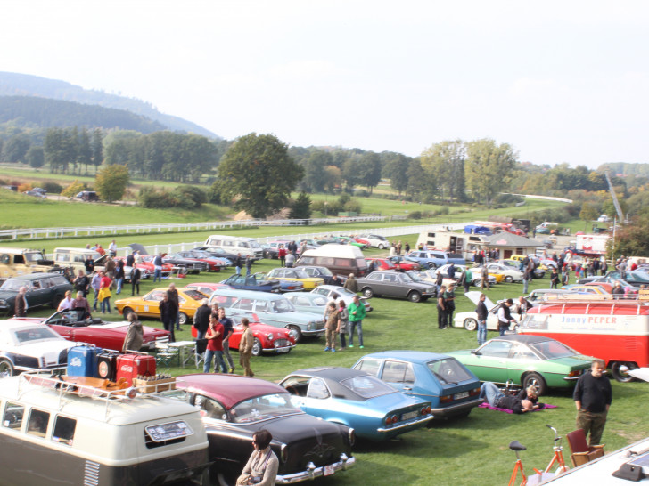 Viele tolle Autos gab es bereits letztes Jahr auf dem Oldtimer-Treffen 2015 zu sehen. Archivfoto: Anke Donner