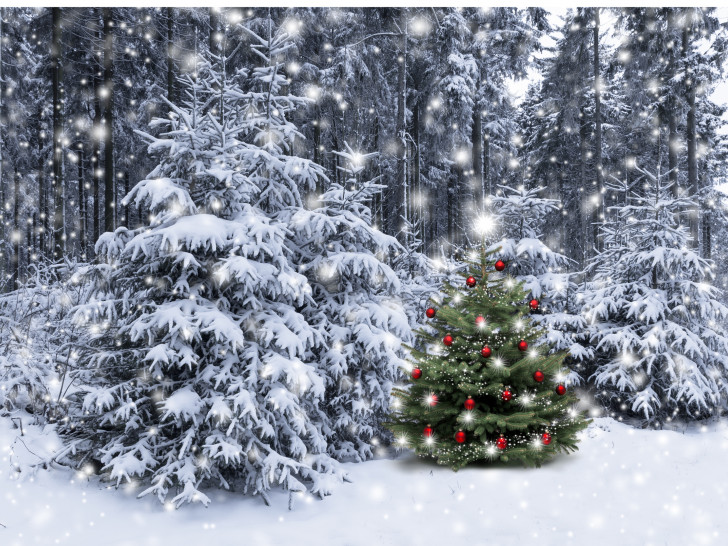 Finden Sie den geschmückten Weihnachtsbaum. Foto: HAHNENKLEE tourismus marketing gmbh