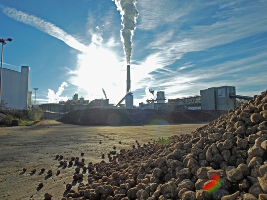 Jetzt geht es wieder los in der Zuckerfabrik. Foto: Nordzucker AG