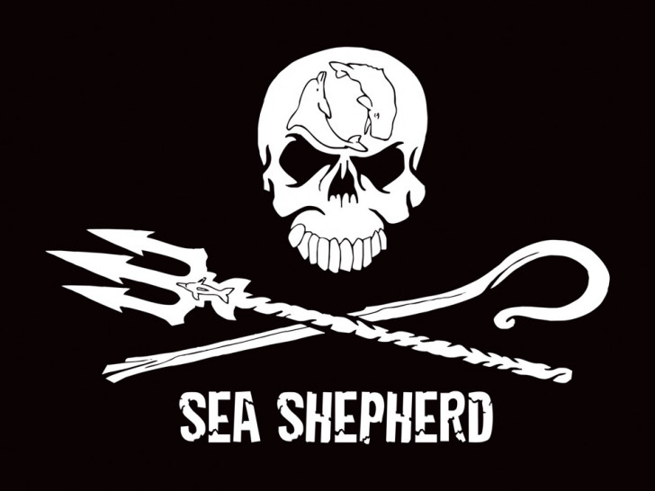 Ein Referent direkt von Sea Sheppard ist bei den Linken zu Gast. Foto: Privat