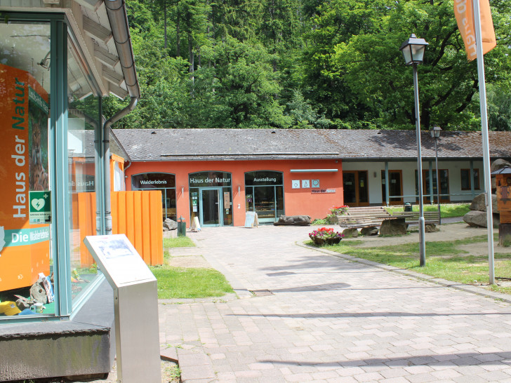 Das Haus der Natur in Bad Harzburg bietet ausführliche Informationen über Luchse. Außerdem werden Ausflüge zur Luchsfütterung angeboten. Foto: Anke Donner 
