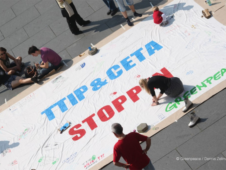 Protest mit einem Riesen-Banner. Fotos: Greenpeace Braunschweig/ Dennis Zellmann 