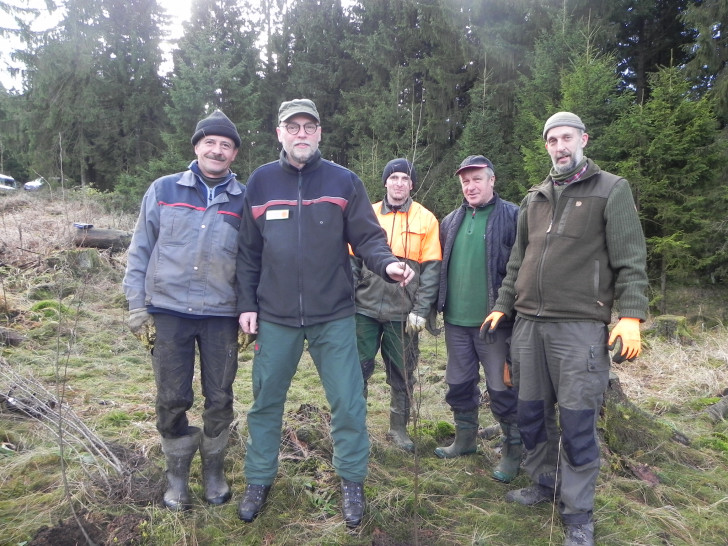 Nationalpark-Revierförster Klaus-Dieter Schultze (zweiter von links) und Mitarbeiter der Firma Jörg Nedden beim Einbringen der jungen Buchen. Foto: Nationalpark Harz