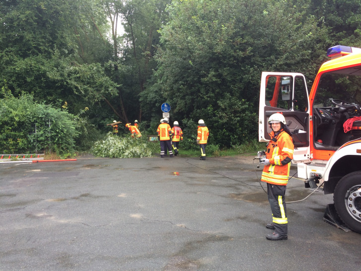 Die Feuerwehr musste große Teile des Baums entfernen. Fotos: Feuerwehr Braunschweig