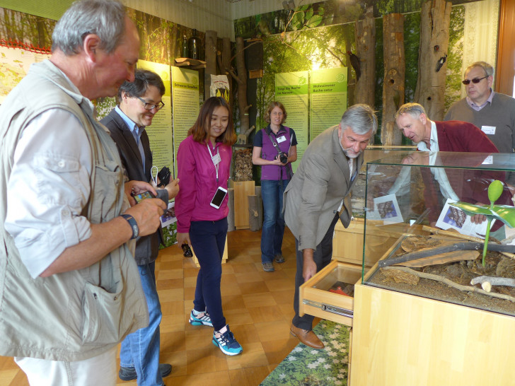 In der Natura 2000-Ausstellung „Buchen musst du suchen …!“ im Schloss Stolberg. Foto: Reuter/RVH
