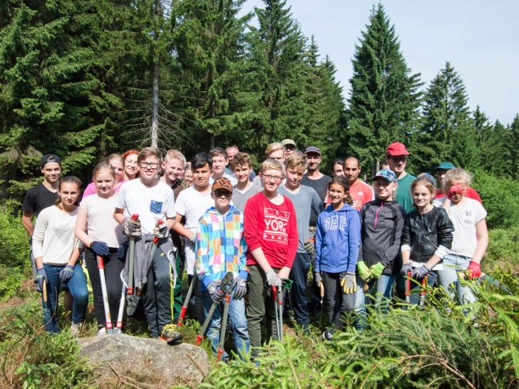 Die 6a vom Landschulheim Grovesmühle beim Sozialtag im Harz. Foto: Nationalpark Harz