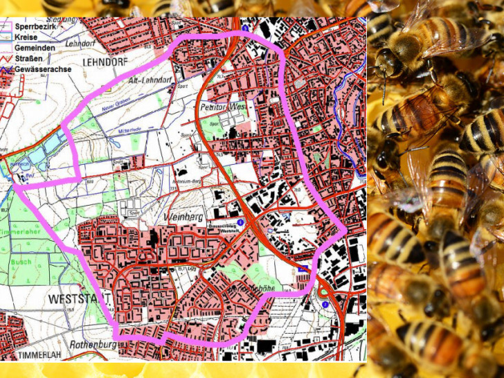Auf der Karte ist der Sperrbezirk in lila hervorgehoben. Foto: Pixabay/Stadt Braunschweig