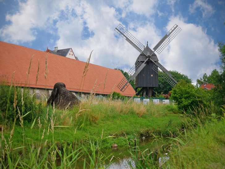 Die Mühle in Salder.