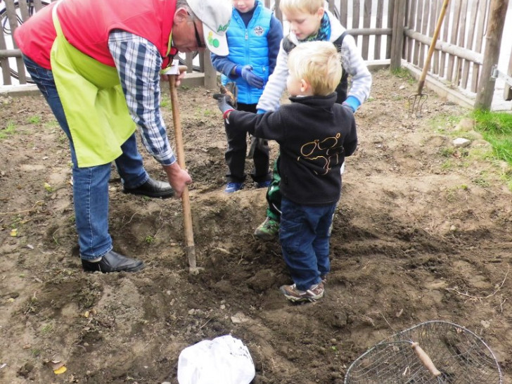 Kinder bei der Kartoffelernte. Foto: Privat