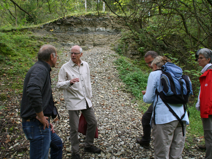 Im Destedter Steinbruch zeigt Manfred Hopf (2. V. Links) die unterschiedlichen Schichten. Foto: Diethelm Krause-Hotopp