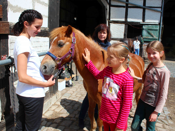 Melina (7 Jahre) aus Klein Denkte und Emma (10) aus Seinstedt bei einem Pferd. Laura Himbert und Annette Gerlach sehen zu.
Foto:Bernd-Uwe Meyer